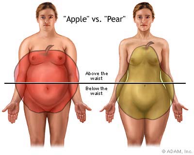 Lower Tummy Fat