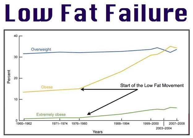 is a low fat diet bad